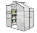 Green House 6 ft x 4 ft