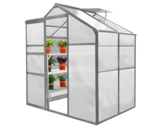 Green House 6ft x 4ft